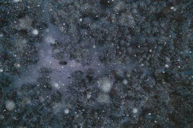 Araba kışın akşam ormanında, tepedeki manzara, helikopter, hava fotoğrafı, manzara kış ormanı.