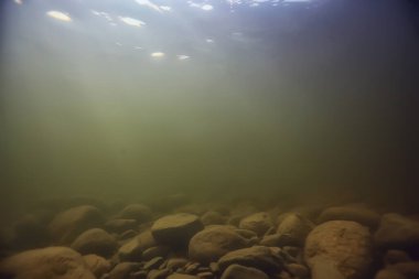 Su altı arazisindeki taşlar, su altında bulanık.