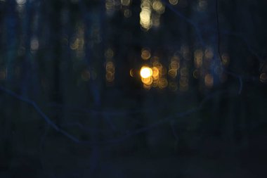 Gri bahar ormanı bulanık yol arkaplanı