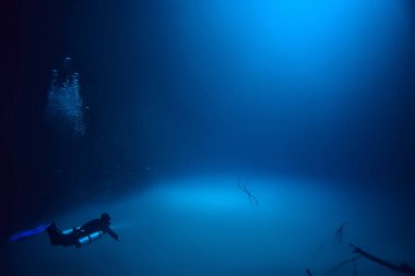 Cenote Angelita, Meksika, mağara dalışı, sualtı macerası, deniz altı sisi altındaki manzara.