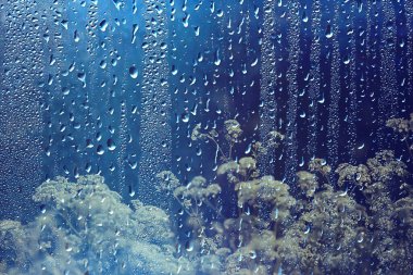 Bahar çiçekleri yağmur damlaları, soyut bulanık arka plan çiçekleri taze yağmur