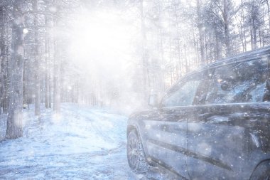 SUV orman kışı, orman yolu üzerindeki araba, manzara mevsimlik kar ormanı manzarası