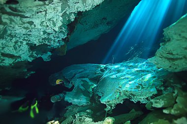 Cenotes 'a dalış, Meksika' ya, tehlikeli mağaralara Yucatan 'a dalış, karanlık mağaralara sualtı manzarası.