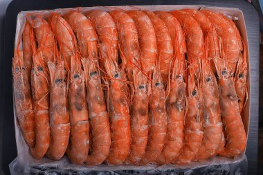 Donmuş kral karidesler, makro arka plan deniz ürünleri, taze kırmızı karidesler.