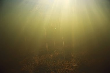 Işık ışınları su altında tatlı göl, soyut arkaplan doğa manzara güneş suyu