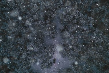 Araba kışın akşam ormanında, tepedeki manzara, helikopter, hava fotoğrafı, manzara kış ormanı.