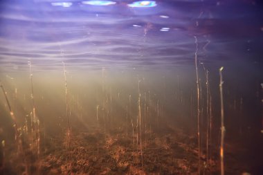 Işık ışınları su altında tatlı göl, soyut arkaplan doğa manzara güneş suyu