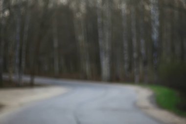 Gri bahar ormanı bulanık yol arkaplanı