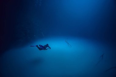 Cenote Angelita, Meksika, mağara dalışı, sualtı macerası, deniz altı sisi altındaki manzara.