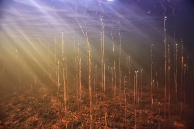 Işık ışınları su altında tatlı göl, soyut arkaplan doğa manzara güneş suyu