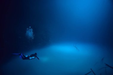 Cenote Angelita, Meksika, mağara dalışı, sualtı macerası, deniz altı sisi altındaki manzara.