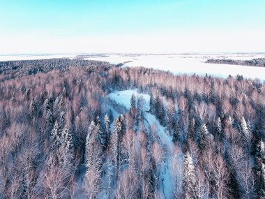 Kışın orman manzarası, karlı bir ormanda doğa manzarası, havacılık fotoğrafı.