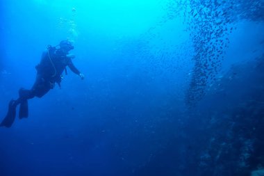 Skuba dalgıcı ve balık sürüsü, balık kasırgası, sualtı görüşlü ekosistem adamı suyun altında