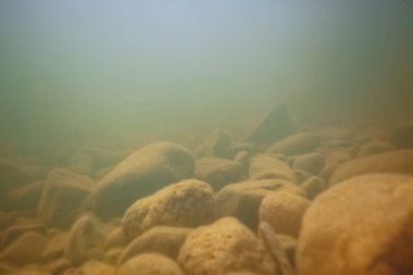 Su altı arazisindeki taşlar, su altında bulanık.