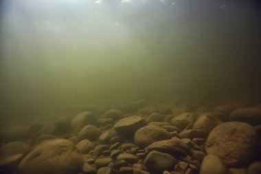 Su altı arazisindeki taşlar, su altında bulanık.