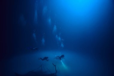 Cenote Angelita, Meksika, mağara dalışı, sualtı macerası, deniz altı sisi altındaki manzara.