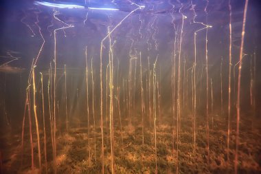 Işık ışınları su altında tatlı göl, soyut arkaplan doğa manzara güneş suyu