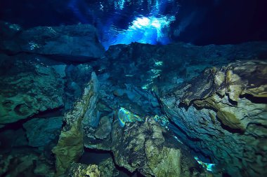 Su altı mağarası sarkıtları, mağara dalışı, Yucatan Meksika, deniz altı manzarası.