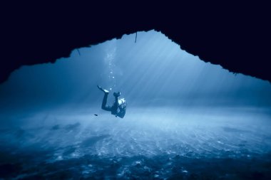Cenotes 'a dalış, Meksika' ya, tehlikeli mağaralara Yucatan 'a dalış, karanlık mağaralara sualtı manzarası.