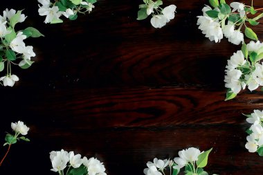 Soyut elma ağacı çiçekleri arka plan, bahar bulanık arkaplan, çiçekli dallar