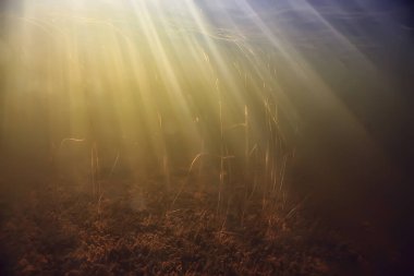Işık ışınları su altında tatlı göl, soyut arkaplan doğa manzara güneş suyu