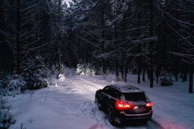 Araba kış ormanlarında, manzara seyahatleri Noel karlı ormanlarda