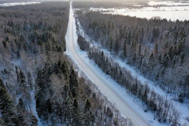 Panorama kış ormanı karları, soyut mevsimsel tayga manzarası, karla kaplı ağaçlar.