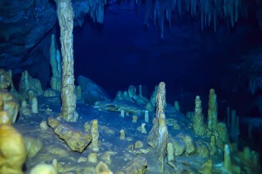 Su altı mağarası sarkıtları, mağara dalışı, Yucatan Meksika, deniz altı manzarası.