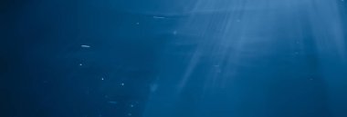 Suyun altındaki ışık huzmeleri, soyut deniz arka plan doğa ışınları bulanıklaşır