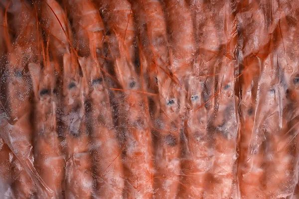 Frozen King Prawns Macro Background Seafood Fresh Red Prawns — Stock Photo, Image