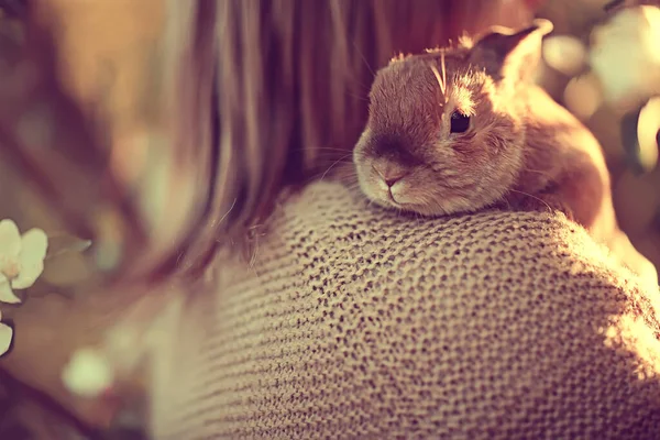 Mädchen Hält Ein Kaninchen Auf Der Schulter Konzept Osterfrühling Hintergrund — Stockfoto