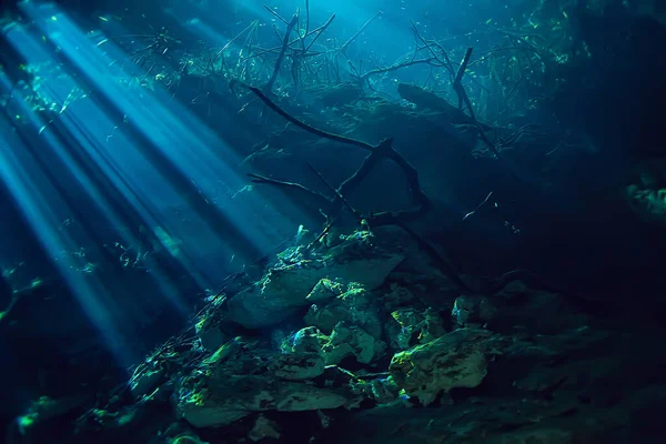 Unterwasserlandschaft Mexiko Cenoten Tauchen Lichtstrahlen Unter Wasser Höhlentauchen Hintergrund — Stockfoto