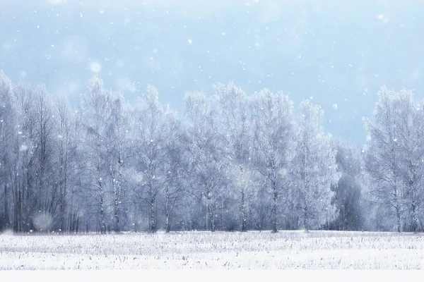 Panorama Winter Bos Landschap Sneeuw Abstract Seizoensgebonden Zicht Taiga Bomen — Stockfoto