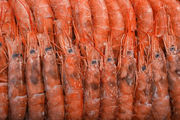 Camarões Rei Congelados Frutos Mar Fundo Macro Camarões Vermelhos Frescos — Fotografia de Stock