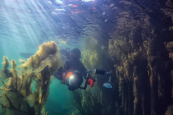 diving in the cenotes, mexico, dangerous caves diving on the yucatan, dark cavern landscape underwater