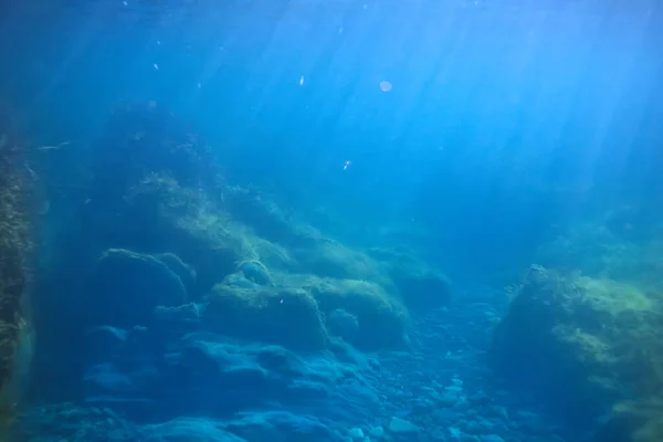 Υποθαλάσσιος Ύφαλος Τοπίου Άλγη Θάλασσα Βόρεια Θέα Στο Κρύο Θαλάσσιο — Φωτογραφία Αρχείου