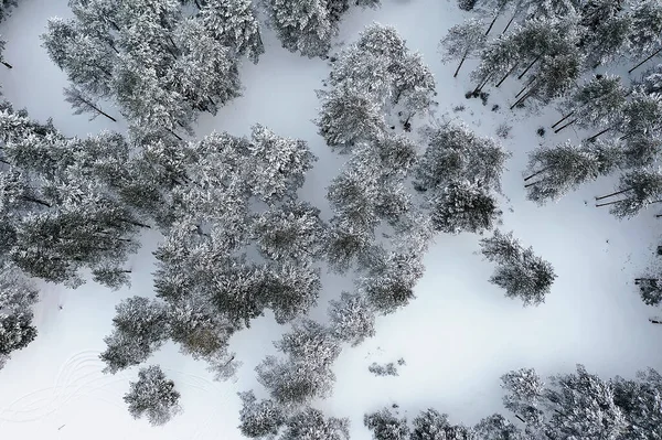 Top View Forest Winter Landscape Nature Snowy Forest Aero Photo — Stock Photo, Image