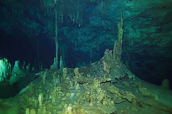 水下洞穴钟乳石景观 洞穴潜水 尤卡坦鱼 水下树冠景观 — 图库照片