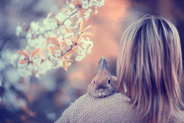 Spring Look Girl Holding Rabbit Easter Greetings Beautiful Background Blooming — Stock Photo, Image