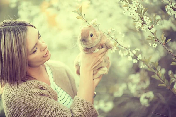 春天的模样 少女抱着兔子般的东方问候 美丽的背景在盛开的苹果园里 — 图库照片