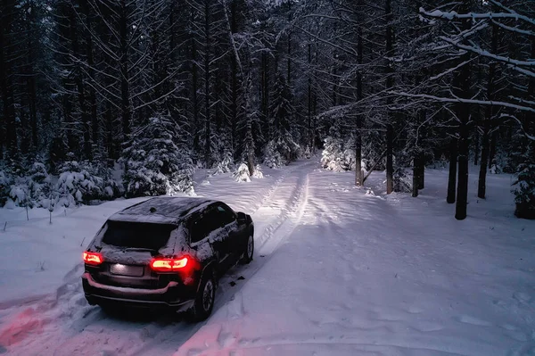 Car Winter Forest Landscape Travel Christmas Snowy Forest — Stock Photo, Image