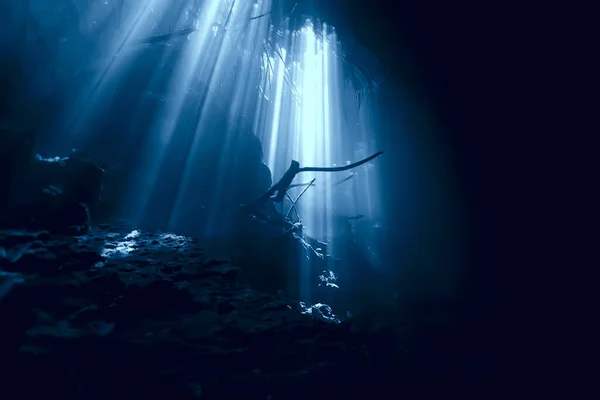 Underwater Cave Stalactites Landscape Cave Diving Yucatan Mexico View Cenote — Stock Photo, Image