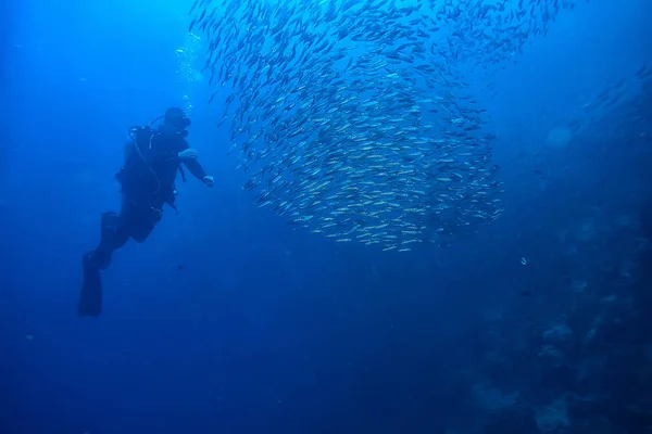 Аквалангист Аквалангист Рыба Торнадо Подводный Вид Экосистемы Человек Водой — стоковое фото