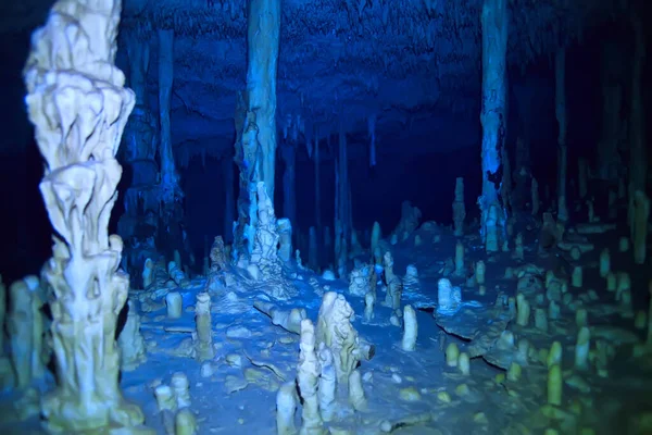 Grotte Sous Marine Stalactites Paysage Plongée Sous Marine Yucatan Mexico — Photo