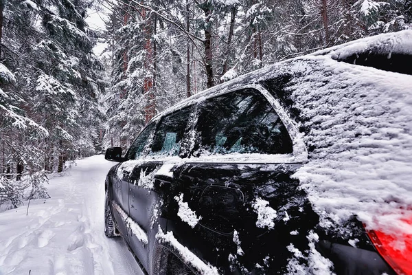 Auto Zimním Lese Krajina Cestování Vánočním Sněžném Lese — Stock fotografie