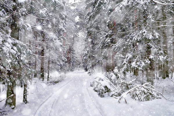 Winter Road Landscape Beautiful View Snowy Road — Stock Photo, Image