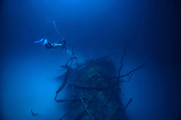 エンジェリータ メキシコ 洞窟ダイビング 水中での極端な冒険 水霧の下の風景 — ストック写真