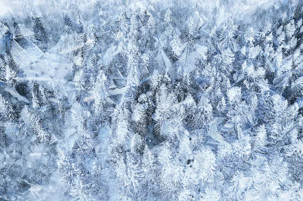 Winter Patterns Window Trees Abstract Seasonal Ice Background — Stock Photo, Image