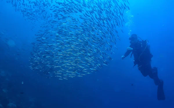 스쿠버 다이버와 물고기 물고기 토네이도 수중에서 생태계 — 스톡 사진