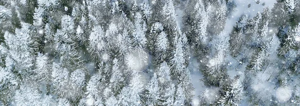 Πανόραμα Χειμερινό Δάσος Τοπίο Χιόνι Αφηρημένη Εποχιακή Άποψη Της Taiga — Φωτογραφία Αρχείου